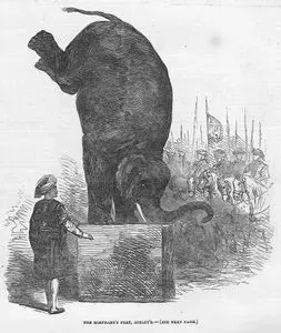 The Elephant's Feat, Astley's