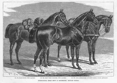 intarnational Horse Show At Manchester, Military Horses