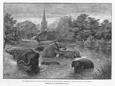 Elephants At Stratford On Avon