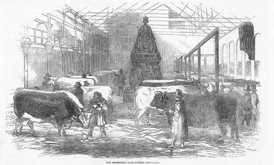 The Smithfield Club Cattle Show Yard