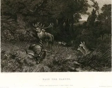 Nach Dem Kampfe (After The Fight)