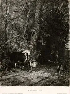 Waldweide