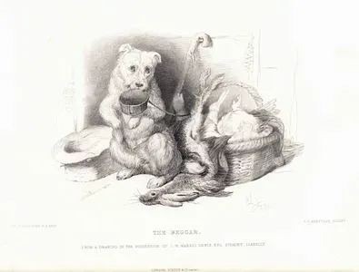 The Beggar