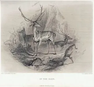 In The Glen