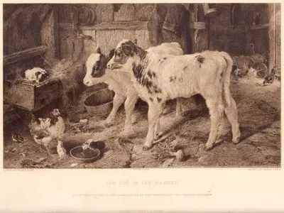 The Dog in The Manger