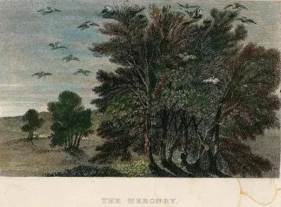 The Heronry