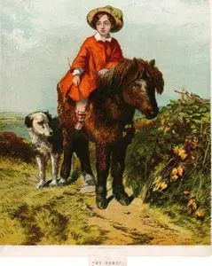 My Pony