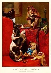 The Greedy Monkey