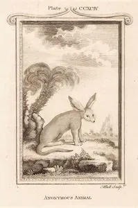 Anonymous Animal, Plate CCXCIV.