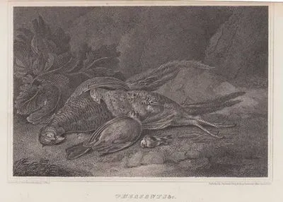 Pheasants