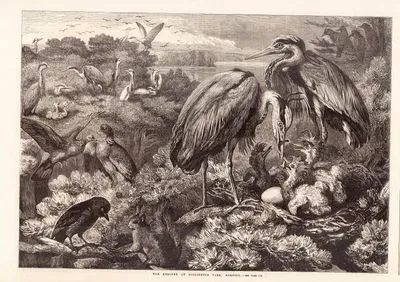 The Heronry at Didlington Park, Norfolk