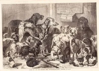 Home For Lost And Starving Dogs, Hollingsworth Street, Islington