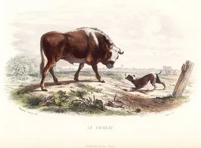 Le Taureau (Bull and Dog)