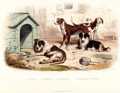 Le Dogue, Le Matin, Le Braque, Le Chien De Bercer (Mastiff, Matin, Pointer Dog, Shepherd Dog)