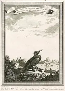 Le l'Ouwa Ou L'Oiseau Pescheur, Avec La Maniere De Pecher, Tire De Nieuhof / De Lou-wa, Of 
Visser, Met De Wyze Van Vischvangst, Uit Nieuhof