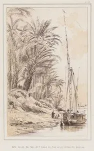 Date Palms on the Left Bank of the Nile, Opposite Boolak