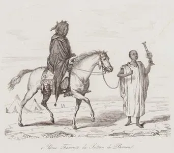 Une Favorite du Sultan de Bornou