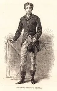 The Crown Prince Of Austria