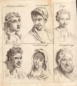 Face Expressions (Emotions)-Admiration, Contempt, Joy, Rage, Calmness, Laughing