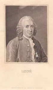 Linne (Carl Linnaeus)