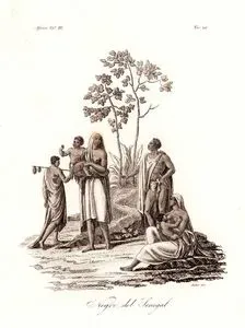 Negri Del Senegal, Africa Vol.III. Tav.26.