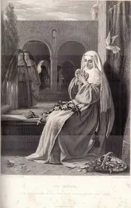 The Novice