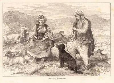A Dalmatian Shepherdess