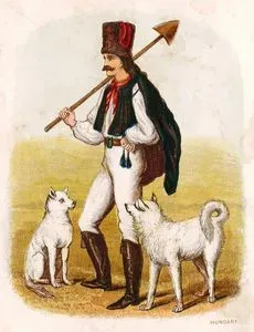 Hungarian Man