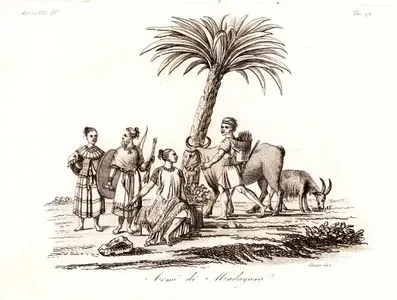 Armi De Madagassi, Africa Vol.IV. Tav.78. (Weapons Of The Malagasy People Of Madagascar)