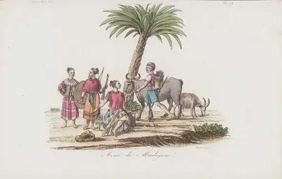 Armi De Madagassi, Africa Vol.IV. Tav.78. (Weapons Of The Malagasy People Of Madagascar)