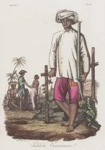 Soldato Cocincinese, Asia Vol. IV. Tav.82. (Vietnamese Soldier in The XVIII. Century)