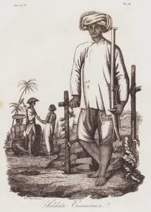 Soldato Cocincinese, Asia Vol. IV. Tav.82. (Vietnamese Soldier in The XVIII. Century)
