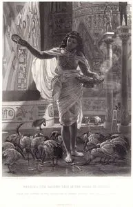 Feeding The Sacred ibis in The Halls Of Karnac