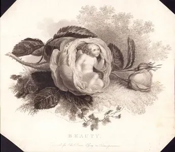 Beauty