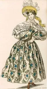Morning-Visiting Dress