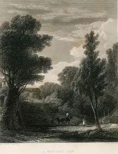 A Woodland View