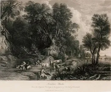 Arcadian Shades