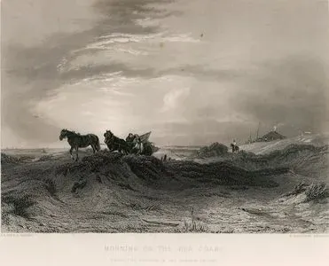 Morning On The Sea Coast