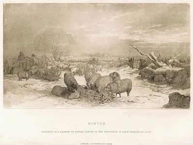 Winter