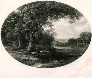A Forest Glade