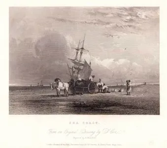Sea Coast