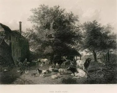 The Farm-Yard