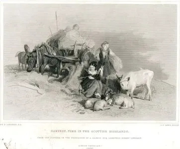 Harvest Time in The Scottish Highlands