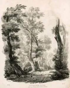 Studies From Nature, No:12
