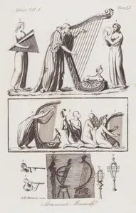 Strumenti Musicali, Africa Vol.I. Tav.43. (African Musical instruments)