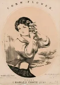 Corn Flower, Valse Composed By Charles Coote Junr.-Oh If I Had Some One To Love Me