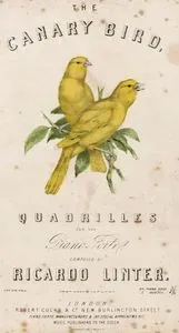 The Canary Bird, Quadrilles For The Piano Forte Composed By Ricardo Linter