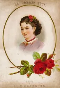 The Damask Rose, Waltz By C.Richardson