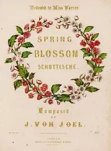 Spring Blossom, Schottische Composed By J.Von Joel, Dedicated To Miss Warren