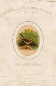 The Nightingale, Ricardo Linter's Bird Waltzes For The Piano Forte
